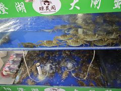 -阳澄湖大闸蟹·琼灵阁牌品牌连锁(吴中总店)