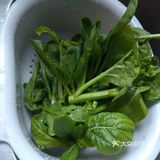 冬吃萝卜夏吃姜之姜蓉芥兰