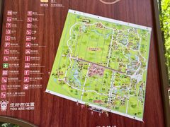 -东平国家森林公园
