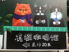 -有猫主题·治愈系猫咖(曾厝垵店)