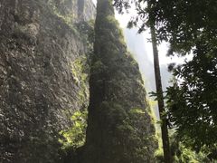 -雁荡山风景名胜区