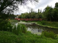 -才村湿地公园