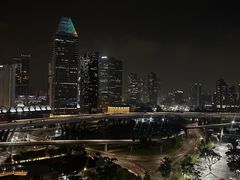 -新加坡摩天观景轮