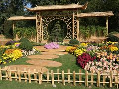 -上海共青森林公园