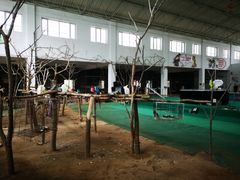 -哈尔滨北方森林动物园