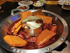-大龙燚火锅(南山大道店)
