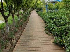 -紫颐香薰山谷景区