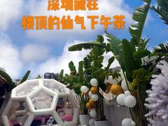 -天空花园餐吧·生日·团建(南山店)