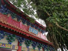 -宝莲禅寺