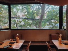 -毛辣果·酸
