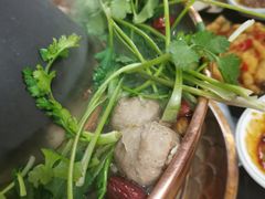 -康源居热气羊肉烧烤羊蝎子(商城路店)