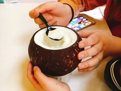 -志龙皇冠吃货椰子铺