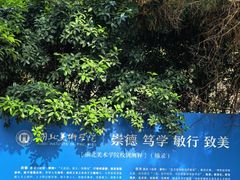-湖北美术学院(昙华林校区)