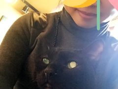 -猫猫幼稚园·撸猫·桌游·电玩