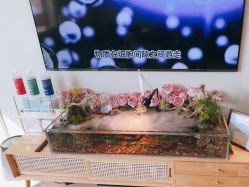 -Lumi露米·美甲美睫品质店