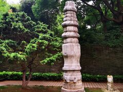 -红梅公园