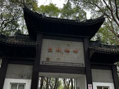 -上海佘山国家森林公园西佘山园