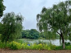 -梁鸿国家湿地公园