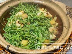 香啫豆苗-廖川菜(金虹桥店)
