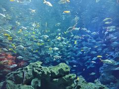 -成都浩海立方海洋公园