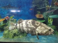 -泉州海丝野生动物世界