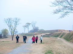 -盘龙城国家考古遗址公园