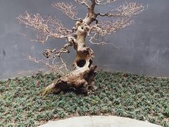 -成都杜甫草堂博物馆