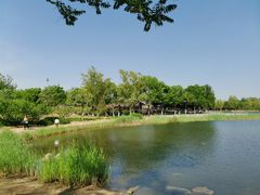 -永定河休闲森林公园