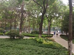 -唐城墙遗址公园