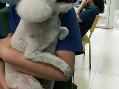 -宠福鑫康馨动物医院·骨科·眼科