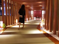 -重庆南山海昌汤都