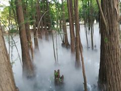 -东湖落雁景区