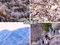 -国家植物园