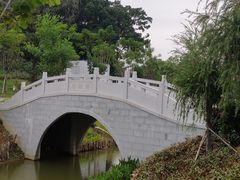 -王借岗森林公园