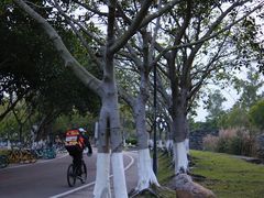 -北京师范大学(珠海校区)
