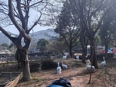 -无锡动物园·太湖欢乐园