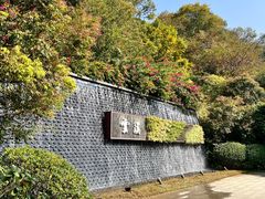 -云溪植物园
