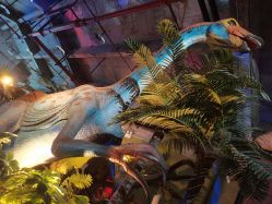 -恐龙探索乐园(磁器口店)