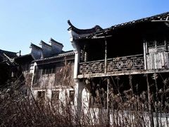 -上海鲜花港