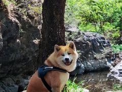 -双龙峡