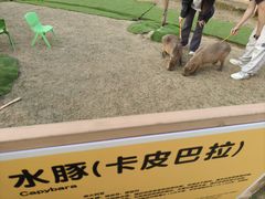 -盈香心动乐园