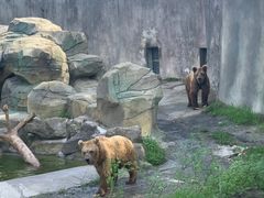 -宁波野生动物园