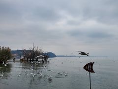 -捞渔河湿地公园
