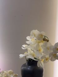 -CRAIE可瑞医美式医美·111SKIN