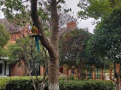 -上海海湾国家森林公园