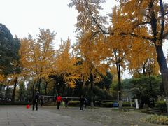 -温江公园