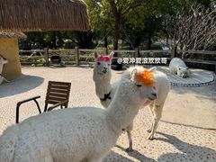 -珠海海泉湾神秘岛亲子乐园
