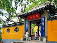 -惠山国家森林公园