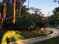 -南国桃园旅游度假区