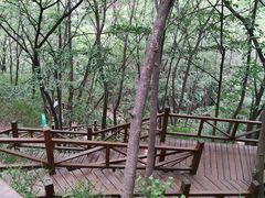 -大岭沟猕猴桃谷风景区